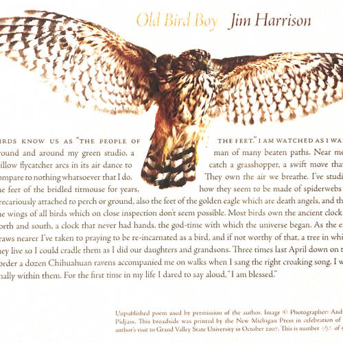 A broadside of a large bird with brown and white feathers and a passage of text below it. The bird's chest and extended wings are visible.